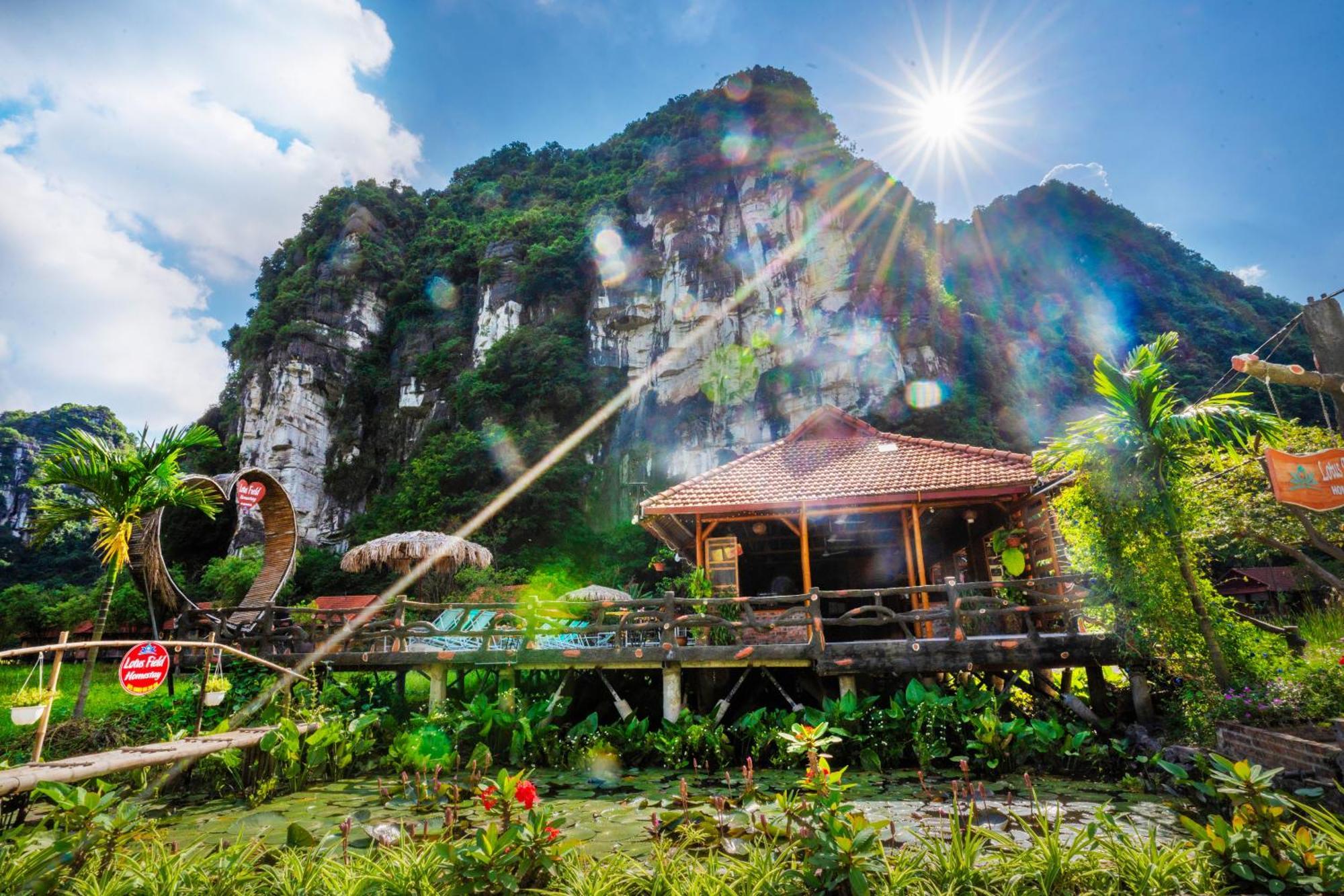 Lotus Field Homestay Ниньбинь Экстерьер фото